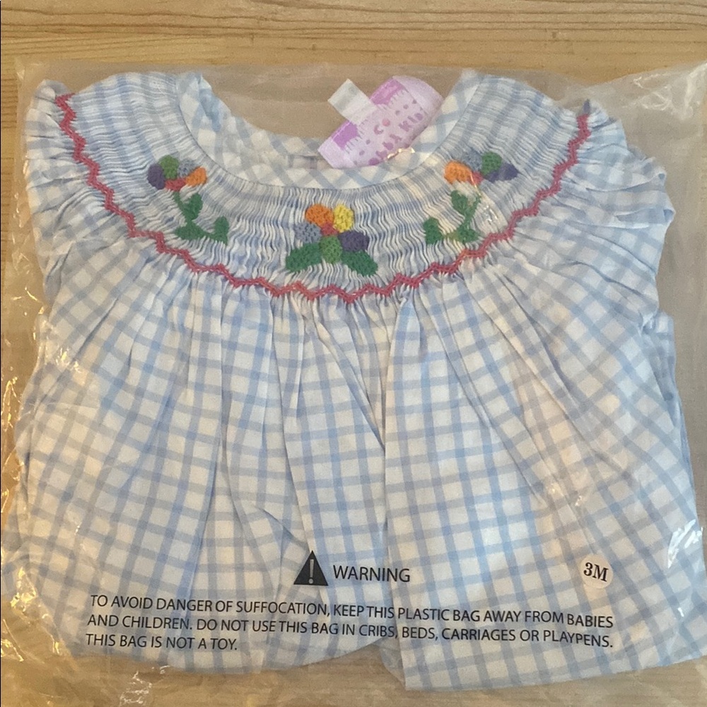 Blue Checkered Baby Dress with Floral Embroidery